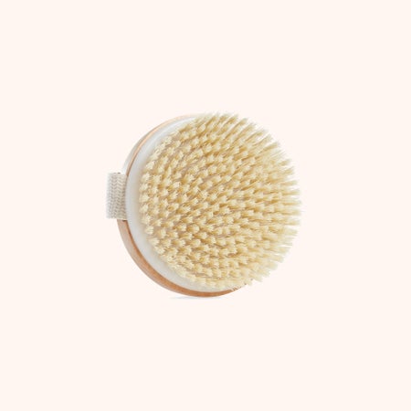 Body Brush - Image 1