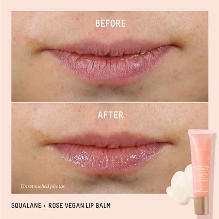 Squalane + Rose Vegan Lip Balm Image 3