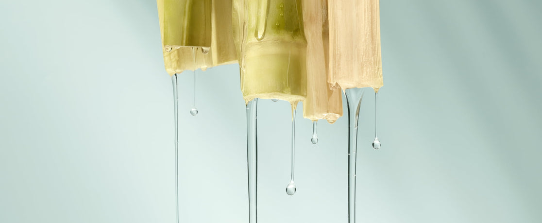 Sugarcane Squalane